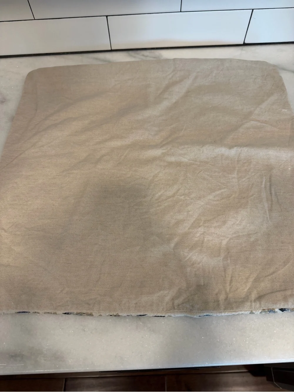 Pottery Barn Reilley Embroidered Pillow Covers, set of 2